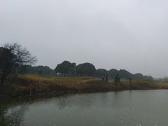 -银涛高尔夫练习场(徐泾店)