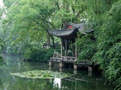 -趵突泉景区