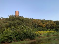 -深圳国际园林花卉博览园