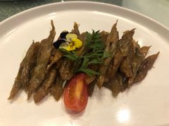 -松鹤楼·非遗·苏帮菜(融科店)