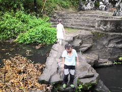 -大屏嶂森林公园
