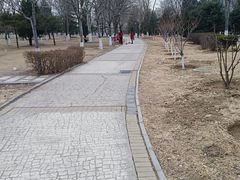 -石榴庄公园