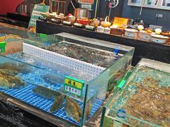 -江南婆婆(车墩店)