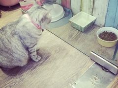 -小时光咖啡馆(开森度假森林店)