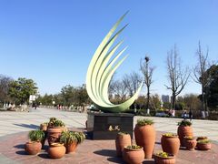 景点-白塘生态植物园