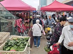 -登发花鸟鱼虫市场