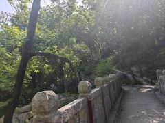 -崂山巨峰游览区