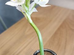 -gaga(深圳南山益田假日广场店)