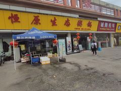 -蚝专家