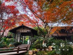 -中国茶叶博物馆(双峰馆区)