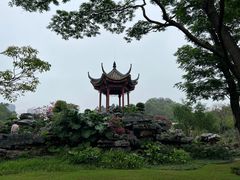 -顺峰山公园