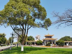 -橘子洲景区