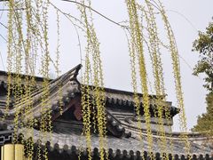 -常熟方塔园