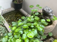 -YONEX网羽有约(新街口店)