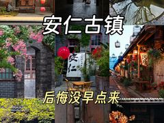 -安仁古镇