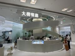 -大树餐厅(朝阳大悦城店)