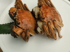 -苏小柳点心·手作小笼包(新街口分院店)