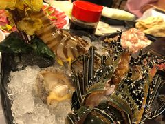 -鲜入围煮花胶鸡海鲜火锅