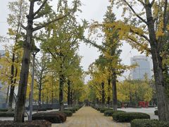 -百林公园-两江幸福广场