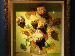 -成都泰迪熊博物馆