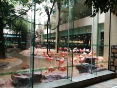 -白虎自助餐厅·真老虎·景观自助餐厅(广州长隆酒店)