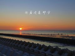 -春花秋色城市公园