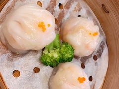 -粤珍轩·家宴·广式茶点(新城广场店)