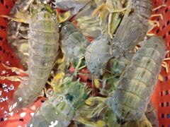 -79号渔船海鲜饭店(华强北店)