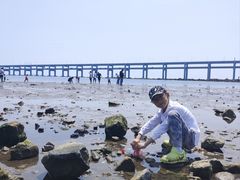 -黑石礁公园