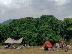 -风云岭森林公园