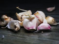 -金家瑞海面馆(满城北街店)