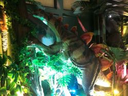 -恐龙探索乐园(磁器口店)