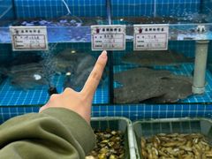 -萃华海鲜阁大排档(五四广场店)