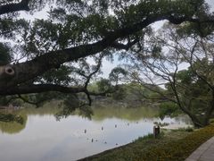 -江心屿景区