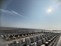 -南汇嘴观海公园