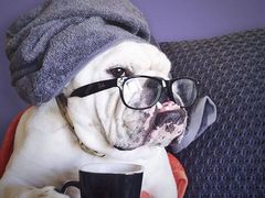 -乐圣量贩KTV自助餐(崇文店)