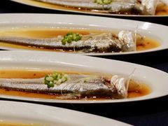 -子福慧(虹桥店)