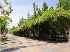 -南京邮电大学(仙林校区)