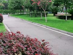 -四川大学(华西校区)