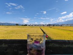 -喜林苑·稻田餐厅(品相府店)