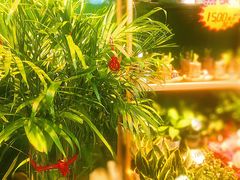 -红星美凯龙(东北全球家居1号店)