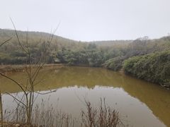 -南京市无想山景区