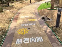 -青岛鑫江温德姆酒店