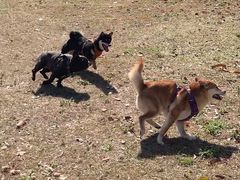 -Bco豆库(星耀天地店)