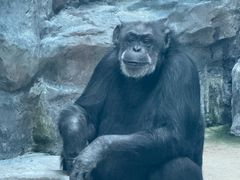 -鄂尔多斯野生动物园