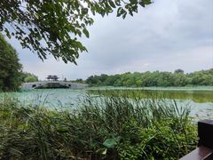 -东湖落雁景区