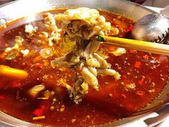 美蛙鱼头-蛙鱼道美蛙鱼自助火锅(新耍都店)