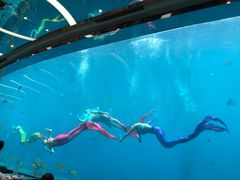 -瑞德姆美人鱼海底演艺主题餐厅(亚龙湾店)