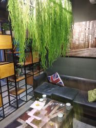 -藤野造型·专业烫染店