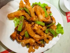 -添福来墨鱼饺子 · 海鲜东北菜(泡崖店)